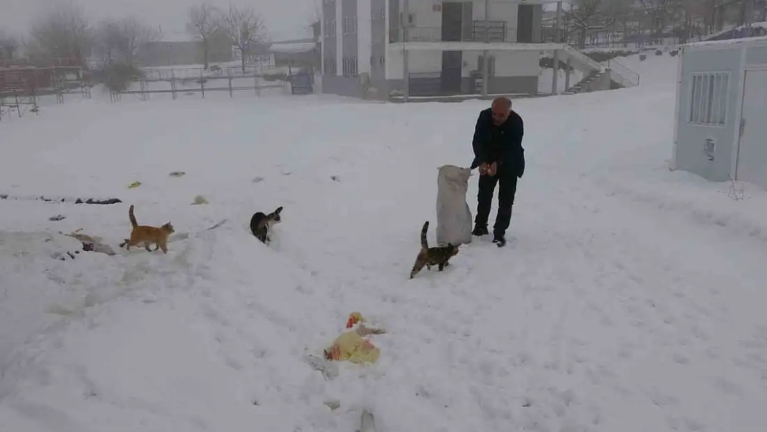 Yazın binlerce kişi, kışın sadece dört nüfus