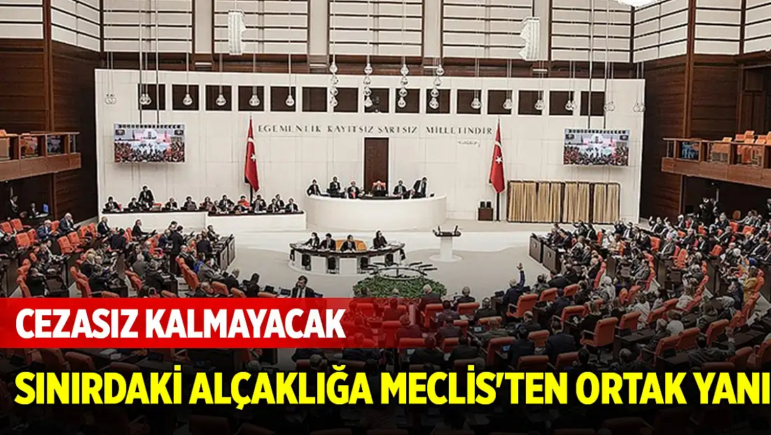 Sınırdaki alçaklığa Meclis'ten ortak yanıt