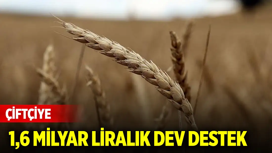 Çiftçiye 1,6 milyar liralık dev destek: Ödemeler başladı