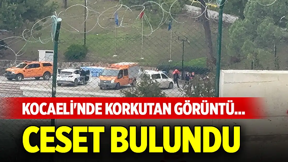 Kocaeli'nde korkutan görüntü... Ceset bulundu