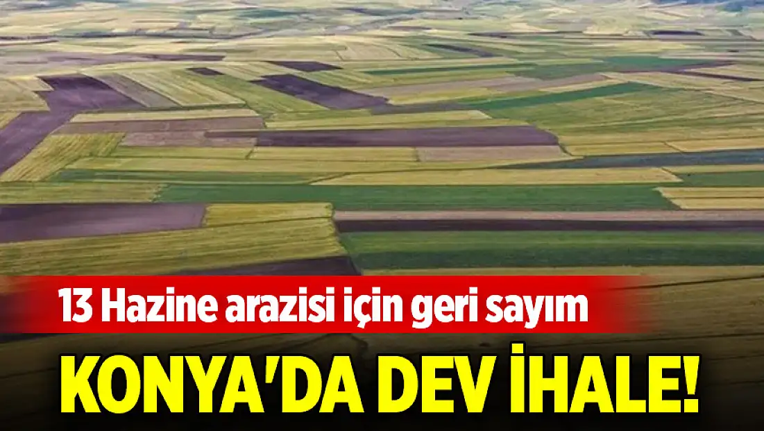 Konya'da dev ihale! 13 Hazine arazisi için geri sayım