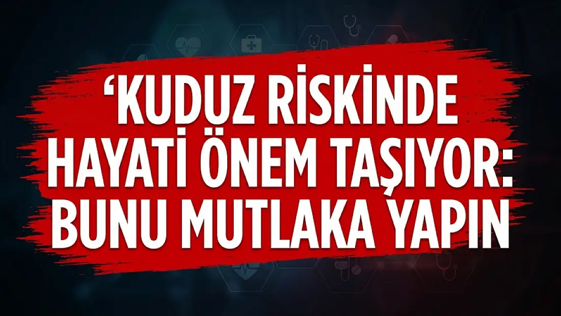 Kuduz riskinde hayati önem taşıyor: Bunu mutlaka yapın!