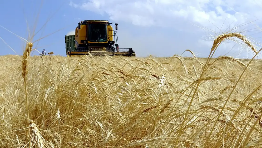 Tarımsal destek ödemeleri bugün yatıyor mu? Bakanlıktan açıklama