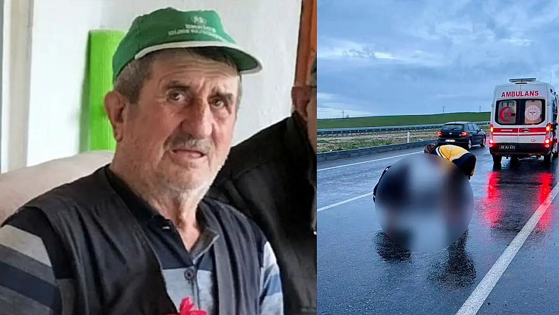 Yolun karşısına geçmek isterken hayatını kaybetti