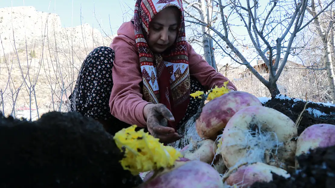 Konya'nın ilçesinde asırlık gelenek: Tatları bahçeden yeni toplanmış gibi oluyor