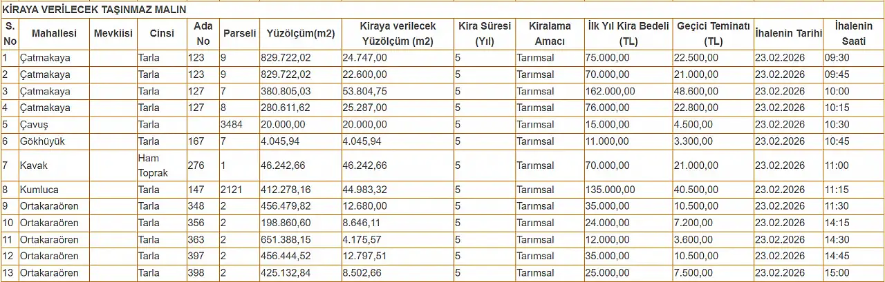 Konya'da dev ihale! 13 Hazine arazisi için geri sayım