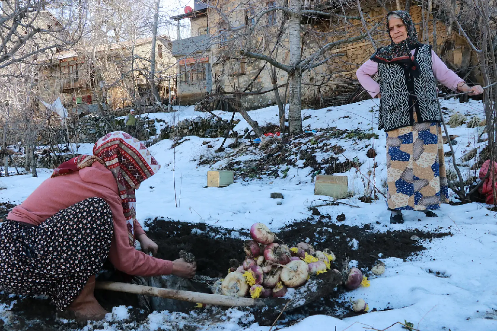 Konya'nın ilçesinde asırlık gelenek: Tatları bahçeden yeni toplanmış gibi oluyor