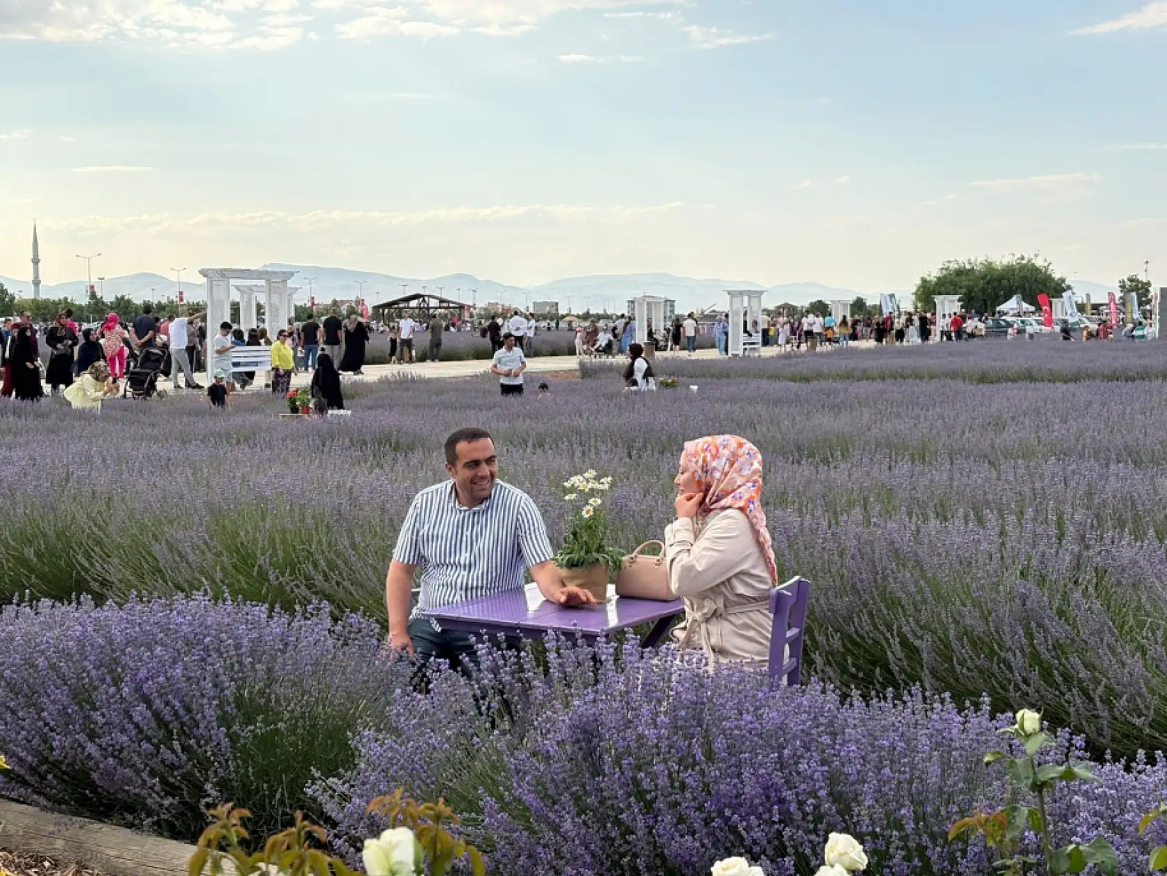 Karatay'da lavanta zamanı: 340 dönümlük bahçede festival coşkusu