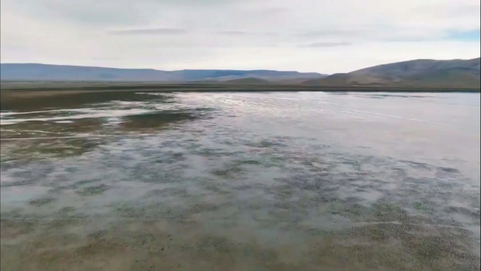 Ilgın'da Çavuşçu Gölü yeniden hayat buluyor: Kuş cennetine ilk sular ulaştı