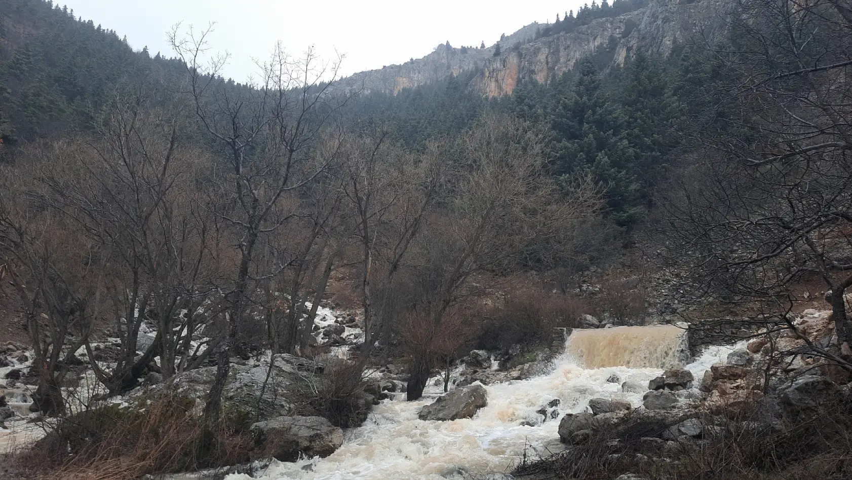 Konya'da Aygırdibi canlandı!