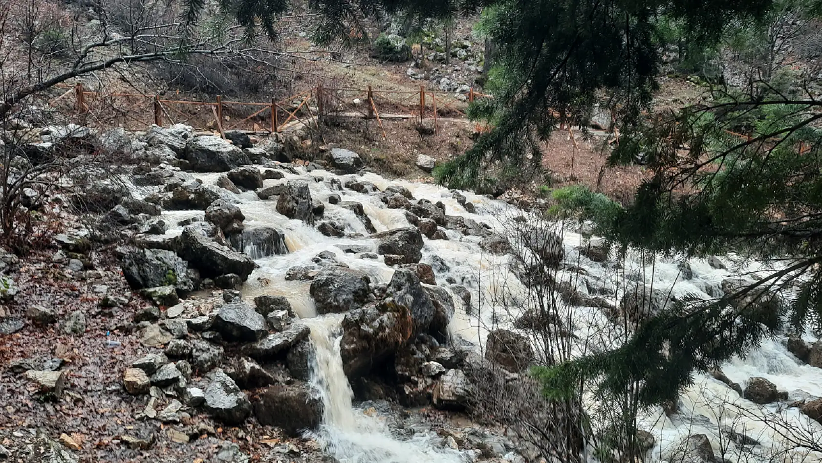 Konya'da Aygırdibi canlandı!