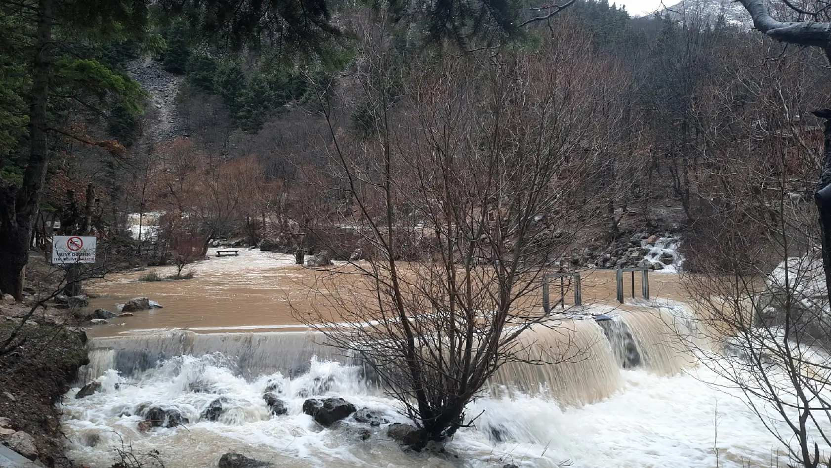 Konya'da Aygırdibi canlandı!