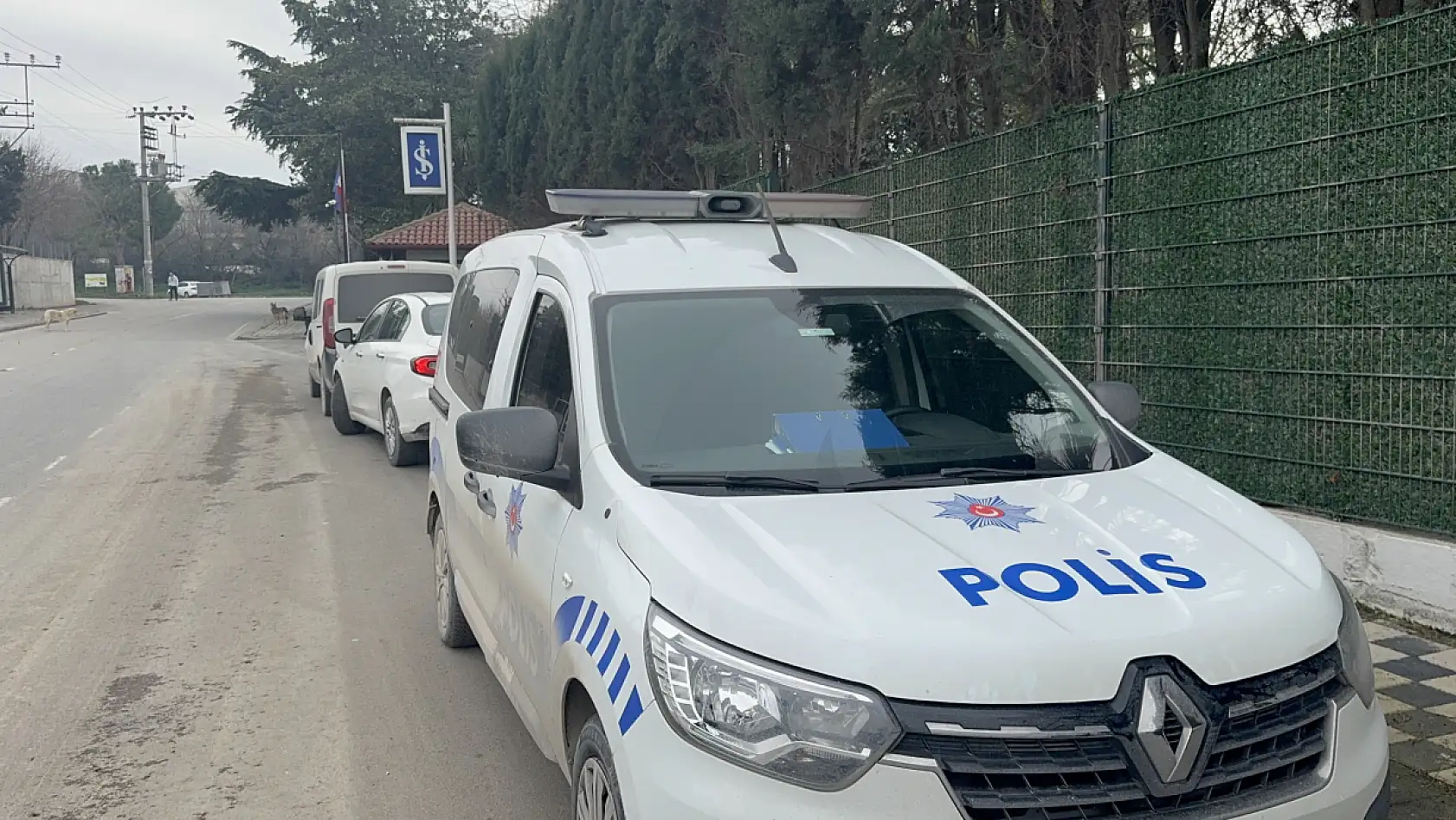 Kocaeli'nde korkutan görüntü... Ceset bulundu