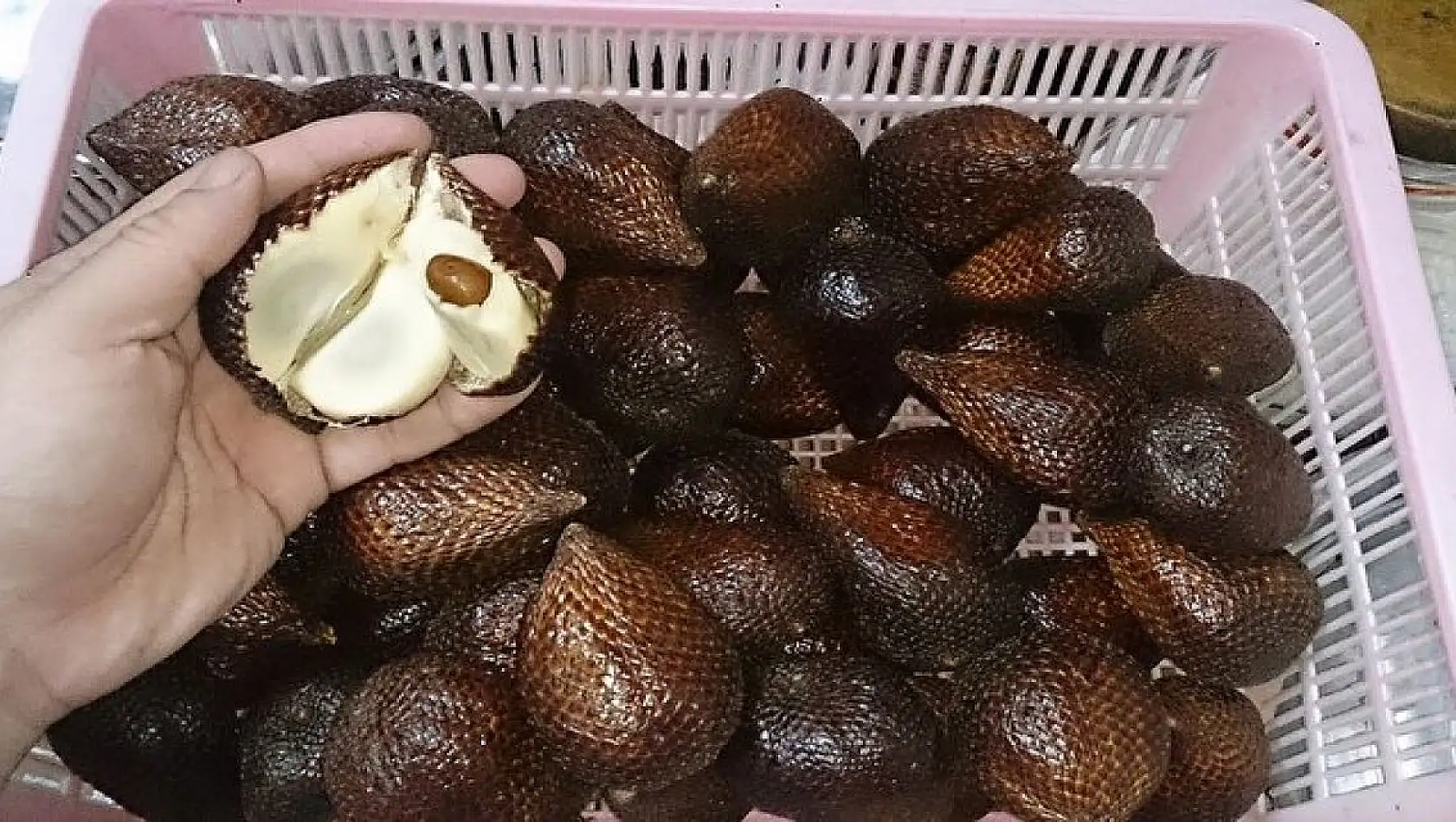 Hem adı hem de faydasıyla şaşırtıyor: Türkiye'de var ancak kimse bilmiyor!