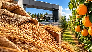 TİGEM'den satış ihalesi: 14 bin 500 ton buğday ve arpa Konya Ticaret Borsası'nda satılacak!