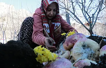 Konya'nın ilçesinde asırlık gelenek: Tatları bahçeden yeni toplanmış gibi oluyor