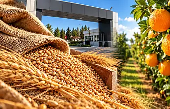 TİGEM'den satış ihalesi: 14 bin 500 ton buğday ve arpa Konya Ticaret Borsası'nda satılacak!