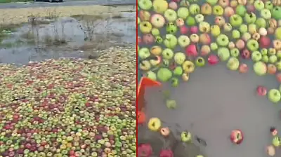 Konya'da sağanak yağış sonrası pazar alanında elma seferberliği