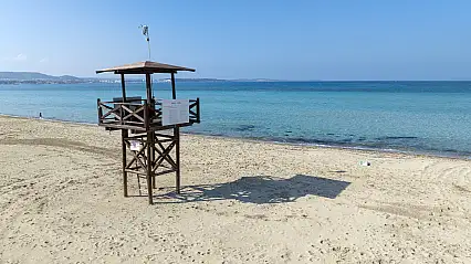 Altınkum Plajı'na Yakın Didim Otellerini Bir Aile Tatili İçin Elverişli Kılan Nedir?