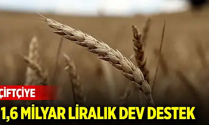 Çiftçiye 1,6 milyar liralık dev destek: Ödemeler başladı