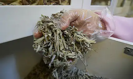 Kışın habercisi! Aktarlarda en çok bunlar aranıyor