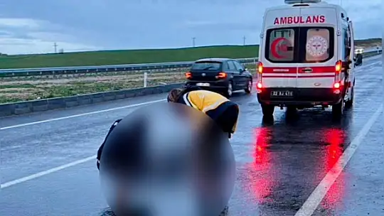 Yolun karşısına geçmek isterken hayatını kaybetti