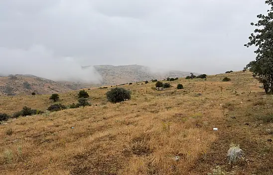 Ankara'da can kaybı: Evden çıktıktan 5 dakika sonra yıldırım düştü