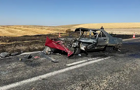 Kaza yapıp yanan aracın sürücüsü hayatını kaybetti