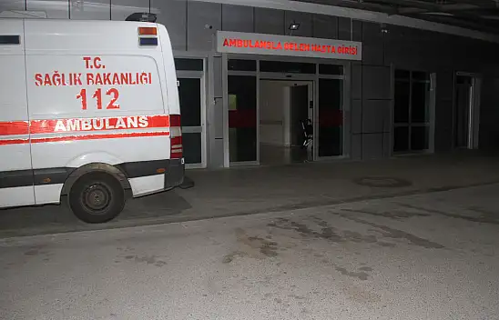 Konya'da keçi peyniri yiyen anne-oğul hastanelik oldu