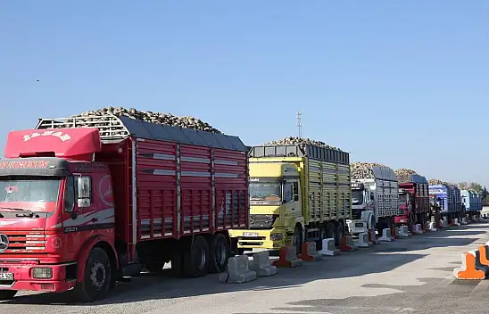 Yeni kanun yürürlüğe girdi: Çeltik tarlalarına sınır, şeker pancarı fiyatlarına yeni usul