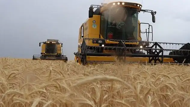 Tarım sektörü ihracatta atağa kalktı