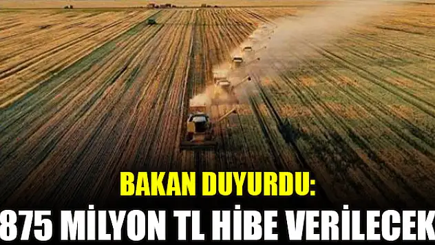 Bakan duyurdu: 875 milyon TL hibe verilecek