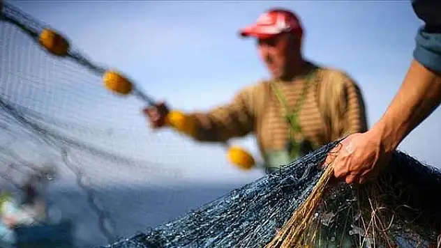 Sevindiren açıklama geldi! Fiyatlar yüzde 50 düşecek