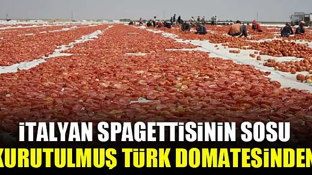 İtalyan spagettisinin sosu kurutulmuş Türk domatesinden