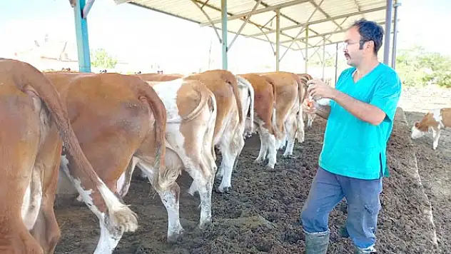 Çumra'da şap hastalığına geçit yok