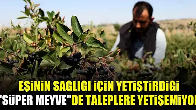 Eşinin sağlığı için yetiştirdiği 'süper meyve'de taleplere yetişemiyor