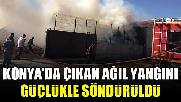 Konya'da çıkan ağıl yangını güçlükle söndürüldü