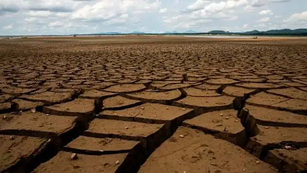 Kenya'da kuraklık yaşanan bölgelerde ulusal afet ilan edildi