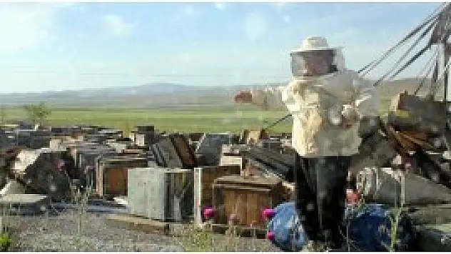 Arıyı kovalarken kaza yaptı