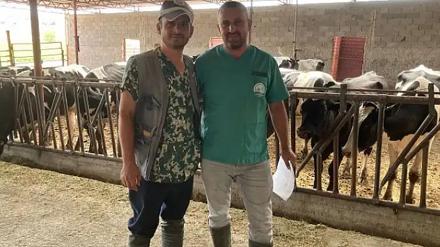 Çeltik'te hayvanlar  aşılanıyor