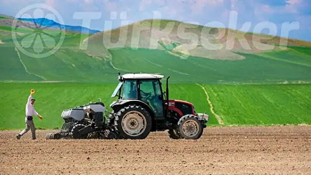 Türkşeker Tarım'dan arpa tohumu ve ekmeklik buğday tohumu satış ihalesi