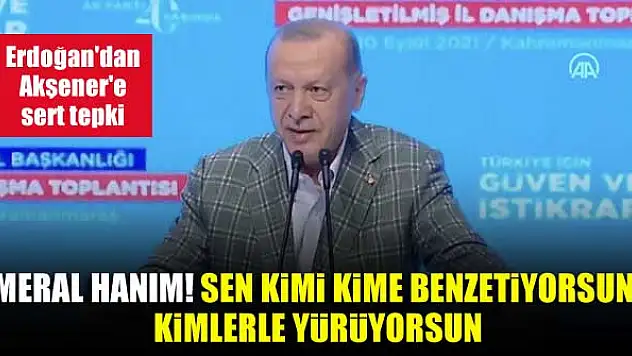 Cumhurbaşkanı Erdoğan: Meral Hanım! Sen kimi kime benzetiyorsun! Kimlerle yürüyorsun