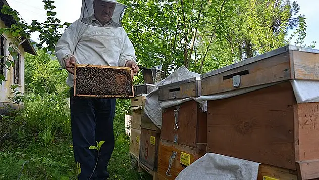 ''Çözüm Süreci'' Karadenizli arıcıları da sevindirdi
