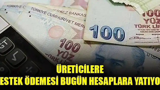 Üreticilere destek ödemesi bugün hesaplara yatıyor