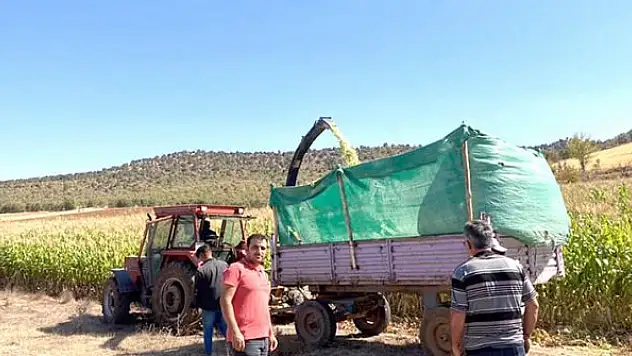 Güneysınır'da ekili  araziler kontrol edildi