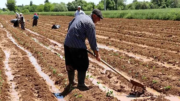 Toprakla insanı barıştırmalıyız!