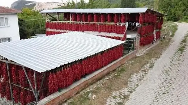 150 yıldır hiç değişmedi! Köyün her yerine astılar