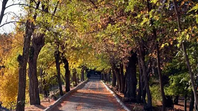 Yeni haftada yağış bekleniyor mu? İşte tahminler...