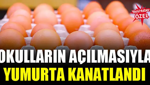 Okulların açılmasıyla yumurta kanatlandı