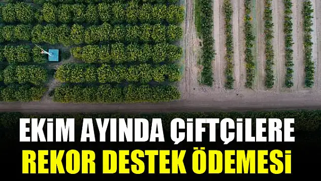 Ekim ayında çiftçilere rekor destek ödemesi